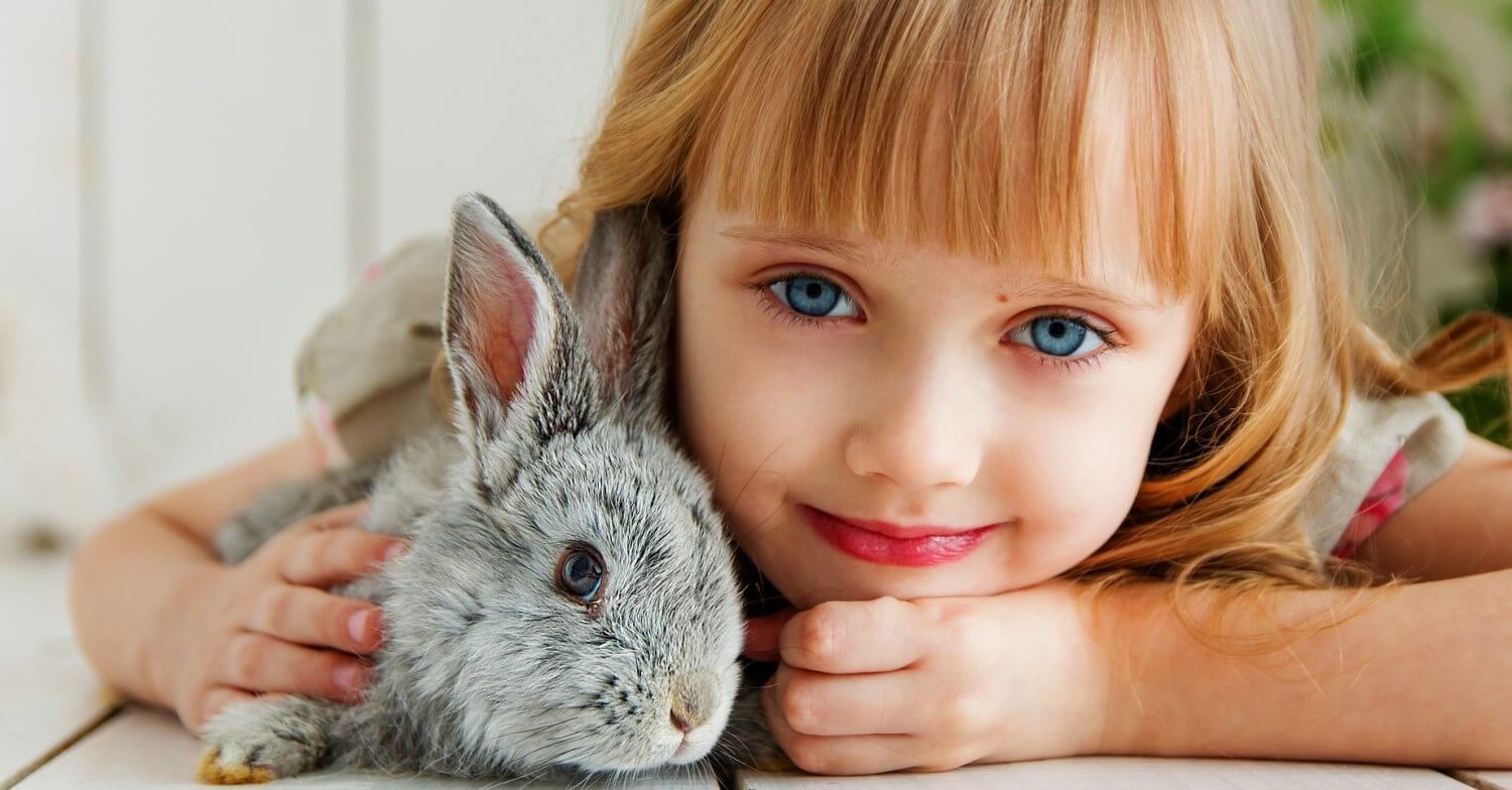 Kleines Mädchen mit blonden Haaren kuschelt mit einem grauen Kaninchen
